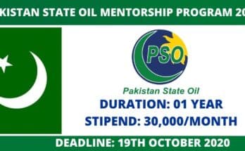 PSO Mentorship Program