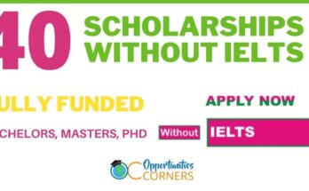 Scholarships Without IELTS Requirements