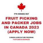 Fruit Picking and Packer Jobs in Canada 2023 (Apply Now)