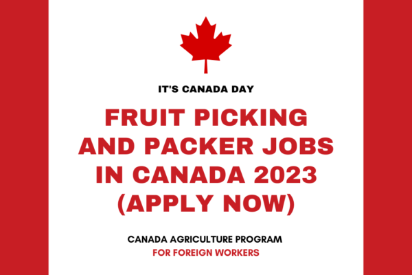 Fruit Picking and Packer Jobs in Canada 2023 (Apply Now)