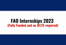 fao internships 2023
