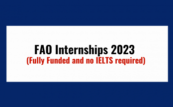 fao internships 2023