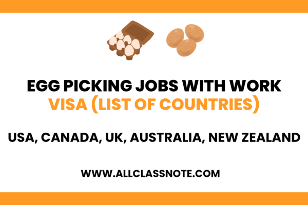 Egg Picking Jobs With Work VISA in 2024 (List of Countries)