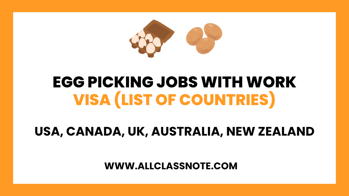 Egg Picking Jobs With Work VISA in 2024 (List of Countries)